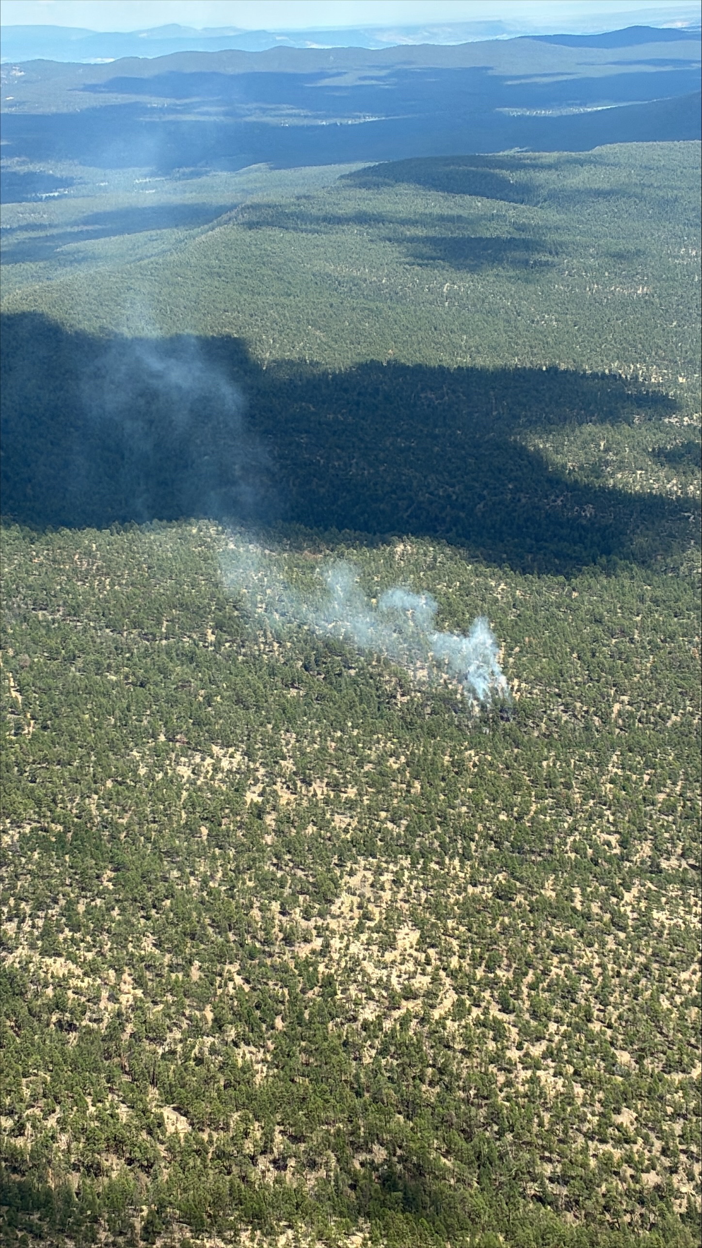 Smoke rises from the five-acre Notches Fire in the south-central Zuni Mountains on July 30. The lightning-caused fire was burning west of NM 612 and north of NM 53, where crews reported no new growth and continued reinforcing containment lines and extinguishing interior hot spots. Photo courtesy U.S. Forest Service.