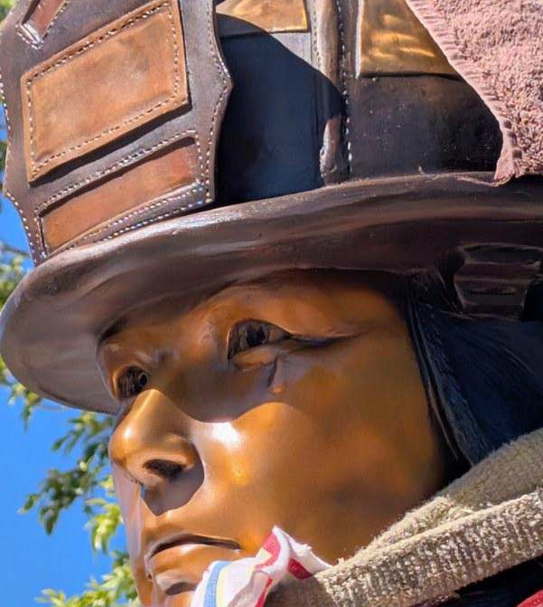 Celebrating Community Heroes