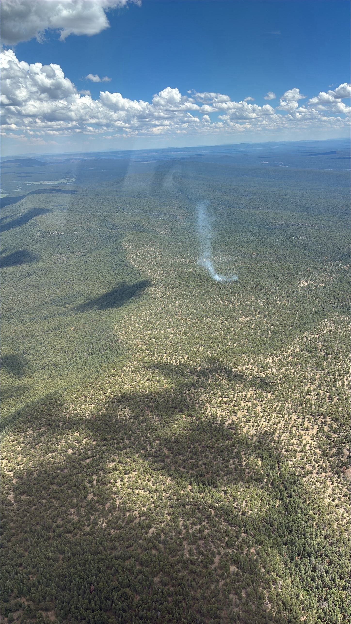 A light column of smoke marks the six-acre Rock Springs Fire in the central Zuni Mountains near Little Water Canyon on July 30. The lightning-caused fire was burning west of NM 612 and north of NM 53, with firefighters using direct suppression tactics and reporting no new growth. Photo courtesy U.S. Forest Service.