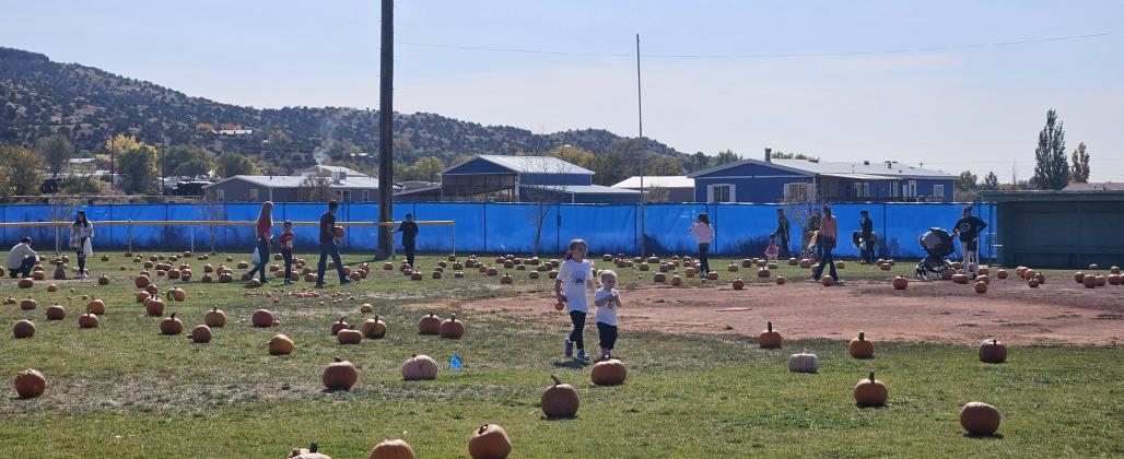 Village of Milan Pumpkin Patch