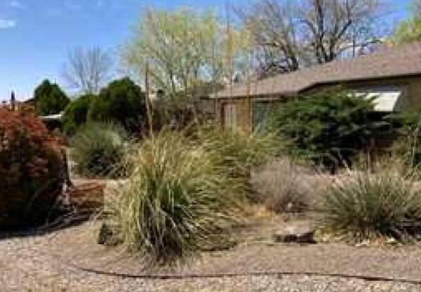 XERISCAPE