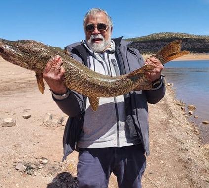 Ralph Joseph Rael caught a tiger muskie and several trout using Yellow PowerBait from the shore on April 5. Courtesy Photo