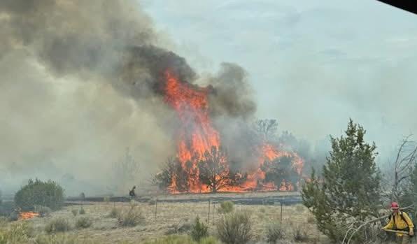 Porter Ranch Fire Assistance