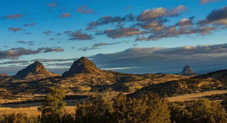L Bar Ranch to Become Wildlife Management Area