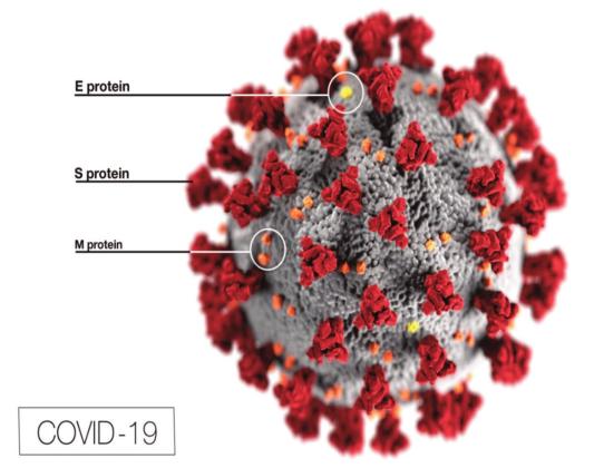 COVID-19 cases slowly declining; Another deadly month in Cibola