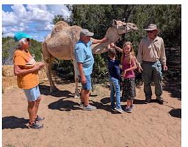 Tourists enjoying the history of the camels Amerika Rougemont - CC
