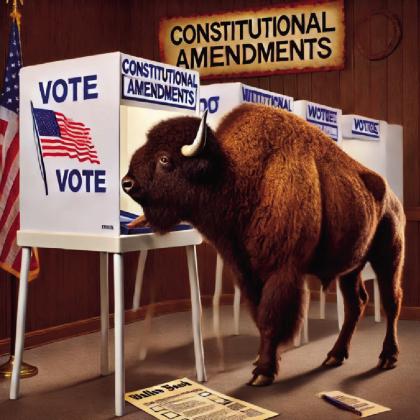 Changing the State Constitution Four Constitutional Amendments on the Ballot in 2024