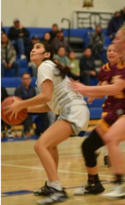 Lady Hawks Holding Own, will Face Tough Opponent