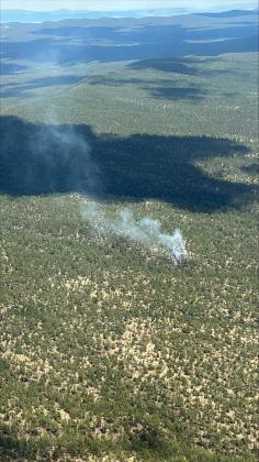 Smoke rises from the five-acre Notches Fire in the south-central Zuni Mountains on July 30. The lightning-caused fire was burning west of NM 612 and north of NM 53, where crews reported no new growth and continued reinforcing containment lines and extinguishing interior hot spots. Photo courtesy U.S. Forest Service.