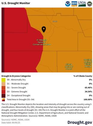 Drought Persists in Cibola Despite Rain and Storms