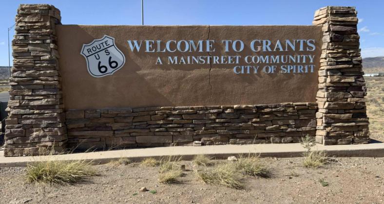 Grants MainStreet Project Inc.