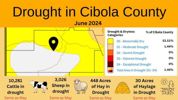 Cibola’s Drought Monitor – May