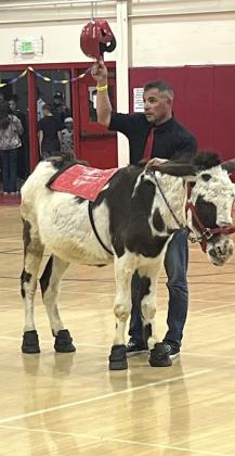 Donkey Basketball