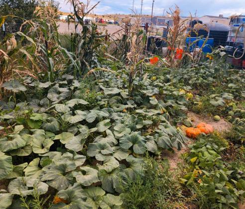 Navajo Technical University Team Named Phase 1 Winner in the U.S. Department of Energy American-Made TCU Energy and Food Sovereignty Nexus Prize