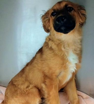 GrantsAnimal Care Center 722 Sakelares Boulevard