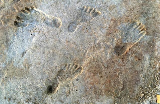 Ancient footprints from White Sands National Park are estimated to be 20,000 years old. Courtesy photo National Park Service