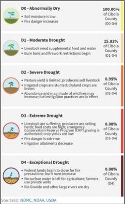 Cibola Drought Monitor – October Update