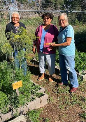 The picture is the Thoreau Senior Center Garden with raised beds. The two ladies with me gave permission to use the picture but did not want their names mentioned. Photo by Edith Iwan