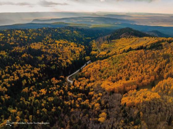 Brilliant golden aspen trees blanket the hillsides of Mount Taylor the weekend of October 10, contrasting with the deep green of surrounding conifers. Photo courtesy of Fletcher Aero Technologies. Fletcher Aero Technologies