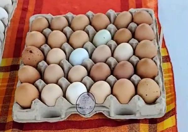 Wind, Music &amp; Handcrafted Magic at the July 12 Farmers Market