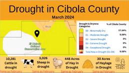 Cibola’s Drought Monitor – March