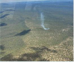A light column of smoke marks the six-acre Rock Springs Fire in the central Zuni Mountains near Little Water Canyon on July 30. The lightning-caused fire was burning west of NM 612 and north of NM 53, with firefighters using direct suppression tactics and reporting no new growth. Photo Courtesy U.S. Forest Service