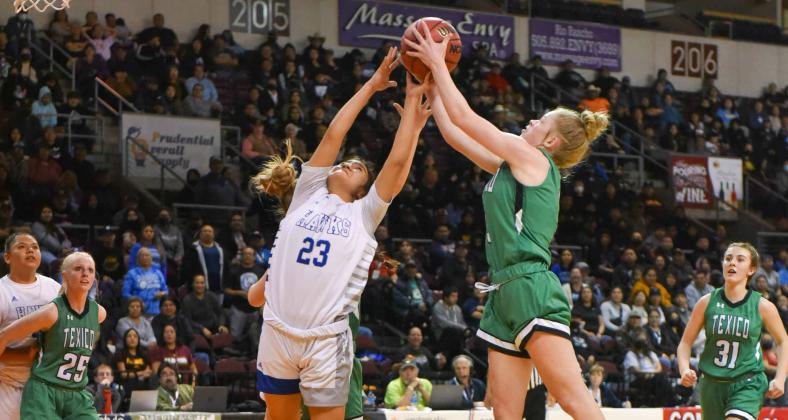 Lady Hawks Short in Semis, 45-41