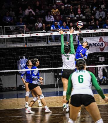 Gianna Carillo,1, in action against Texico in the semifinal game at the Rio Rancho Star Center last Saturday in the 2A state volleyball tournament. The Hawks lost to Texico 3-0 (25-13, 25-23, 25-11) and finished their season with an impressive record of 21-5. Texico went on to win the 2A state championship after defeating Mesilla Valley 3-1. Franklin Romero - CC