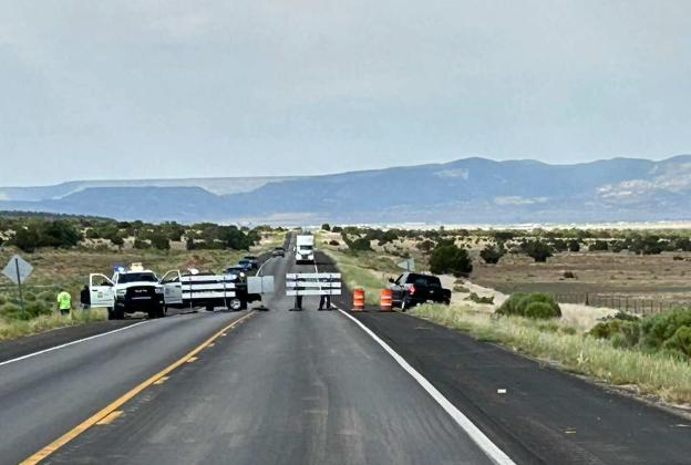 Encerrita Fire in the Zuni Mountains