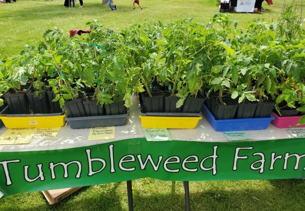 Grants Farmers Market Grows into Memorial Day Weekend with Fresh Veggies and Local Flavor