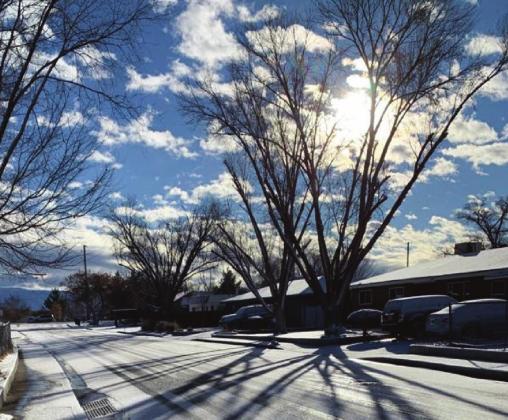 Dr. Marisa Thompson courtesy photo Snowy neighborhood in Los Lunas. It is too early to tell which plants were damaged by the cold this winter.