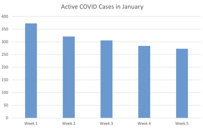 COVID-19 in Cibola Trough January