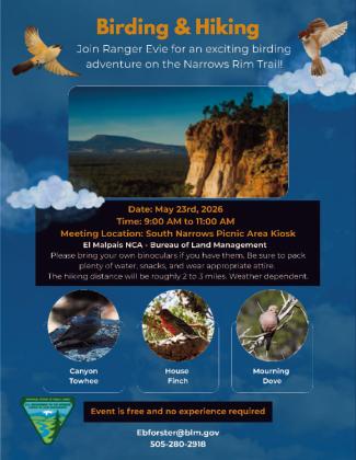 The Bureau of Land Management will host a guided bird hike on the Narrows Rim Trail on Saturday, May 23, beginning at the South Narrows Picnic Area kiosk. The event is open to beginners and experienced birders. Courtesy Photo