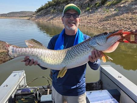 Carl Ortiz caught a tiger muskie using a small, light blue spinner on a boat near the dam on Aug. 13. “We did not weigh or measure the muskie, but as you see, it was heavy and long,” he said. Courtesy Photo