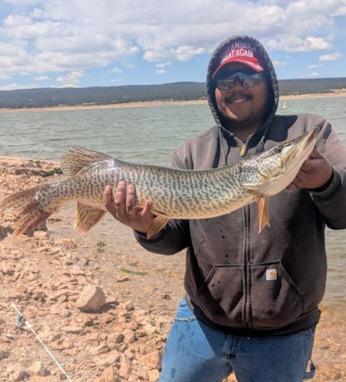 Courtesy Photo Khalil Rodriguez caught two tiger muskie using waterdogs and a Savage Gear Lizard on April 30. “It was a super cold, windy day,” he said. “I was surprised the muskie were active. I also caught a few trout from 14-16 inches.”