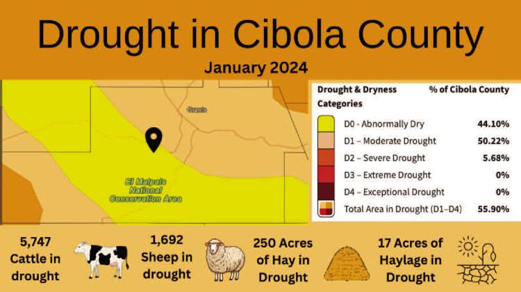Cibola’s Drought Monitor – January