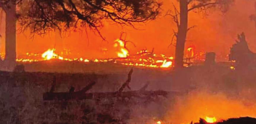 A fire on May 9 burnt land on Quartz Hill in the Zuni Mountains. Fire suppression crews worked to contain the fire, by Tuesday morning they had extinguished the flames. Courtesy Photo
