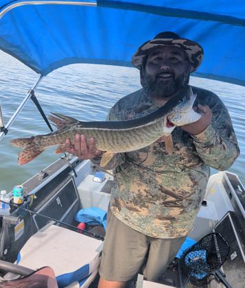 Santiago Chavez caught this tiger muskie using a rainbow-pattern Strike King on Aug. 22.