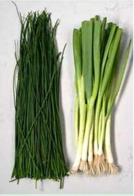 Chives vs. Green Onions Courtesy Photo