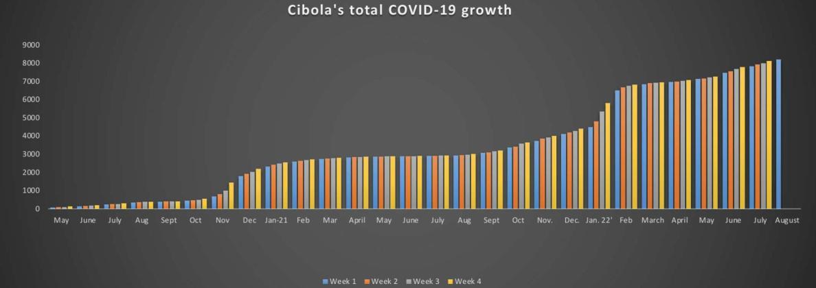 This chart shows the gradual progression of COVID-19 in Cibola County since the disease first started in March. Some months are no longer visible because the amount of data being pugged in now drastically larger than the data when COVID was first reported in Cibola back in March of 2020 Courtesy Photo