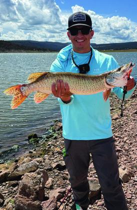 Jeremy Baca caught two tiger muskie using swimbaits on Sept. 19. Courtesy Photo