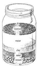 Example of Jar Soil Test. (humus is another name for organic matter