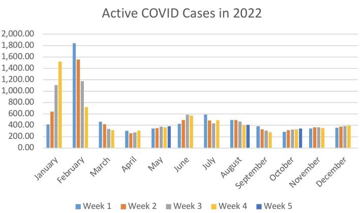 COVID-19 in Cibola Through December