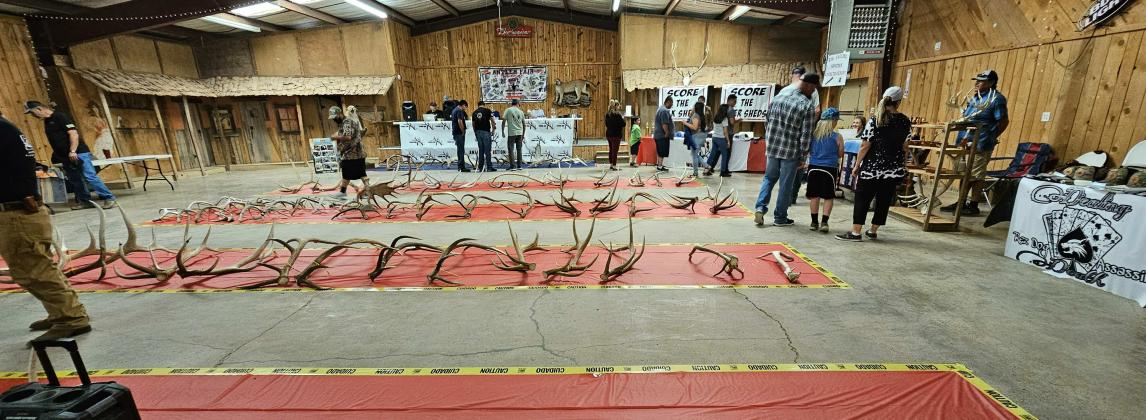 Arieanna Crowson - CC Baca’s Antler Collection Fair