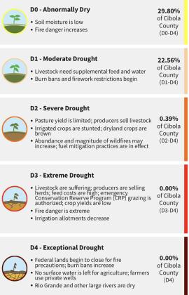 Cibola Drought Monitor – January Update