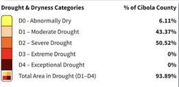 Cibola Drought Monitor – August Update