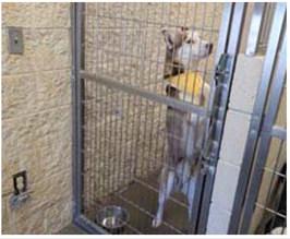 Animal Care Center Update