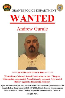 Traffic Stop Helps Find Wanted Man