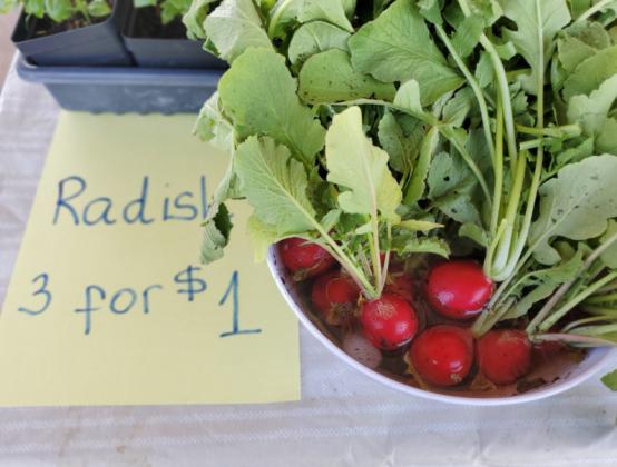 Grants Farmers Market Continues to Shine