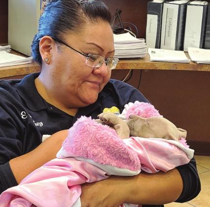 Animal Care Clinic cares about pets